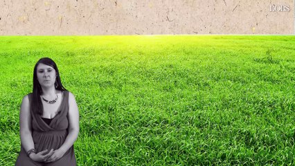 Pourquoi il faut devenir végane de toute urgence