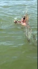 Cet homme porte secours à un faon qui se trouvait dans l’eau