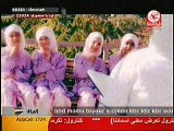 طيور الجنة - السيره العطره