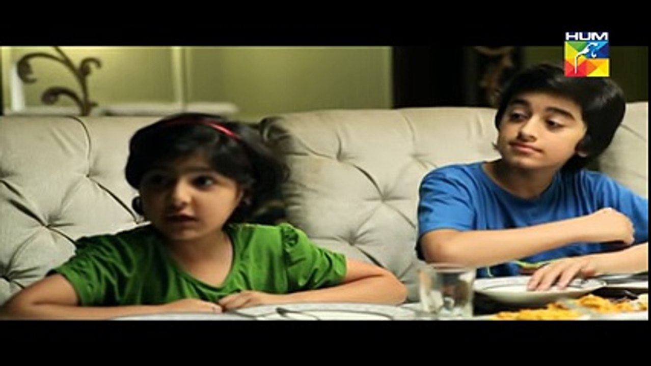 Dil E Beqarar Episode 14 Full HD HUM TV Drama 20 July 2016