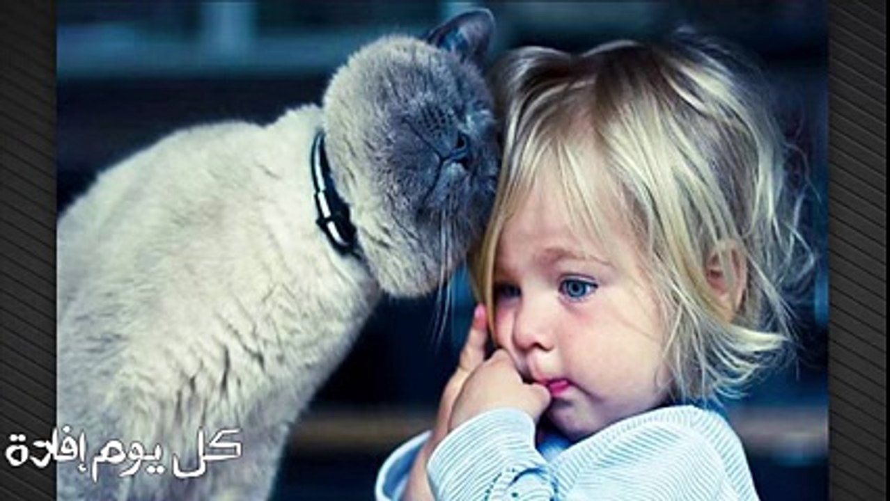 هذا القط يقفز على كتف سيدته باستمرار ..لتكتشف أمراً صادماً