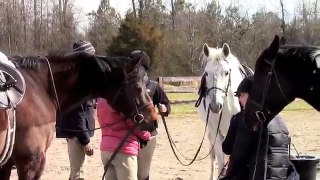 IHSA Huntseat show 2-26-12