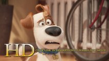 The Secret Life of Pets 2016 ver online pelicula completa español