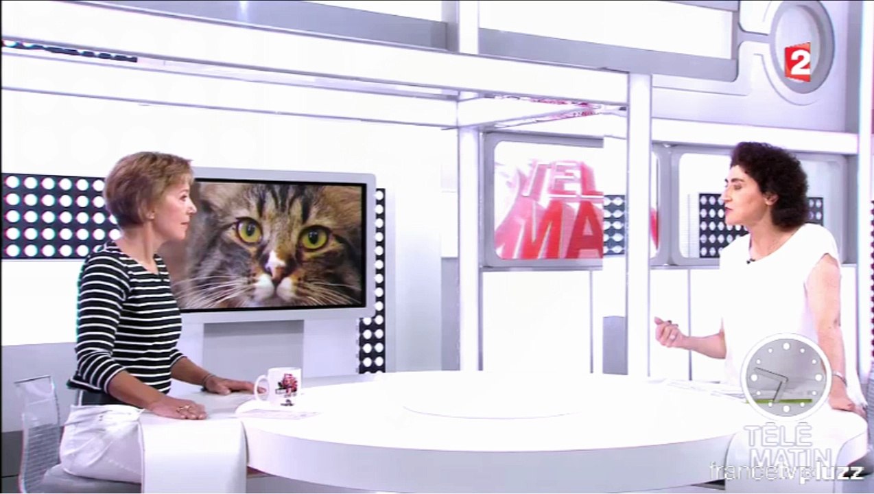 Extrait sujet supplément santé Télématin: "les pouvoirs des chats" au Chat Mallows Café