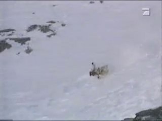Snowboard Longue chute