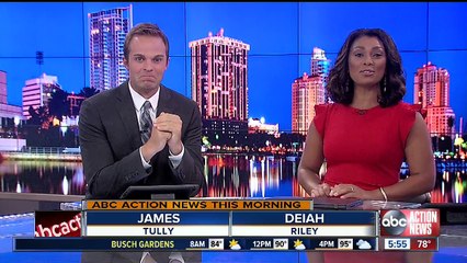 Pitbull's Florida Tourism Campaign.