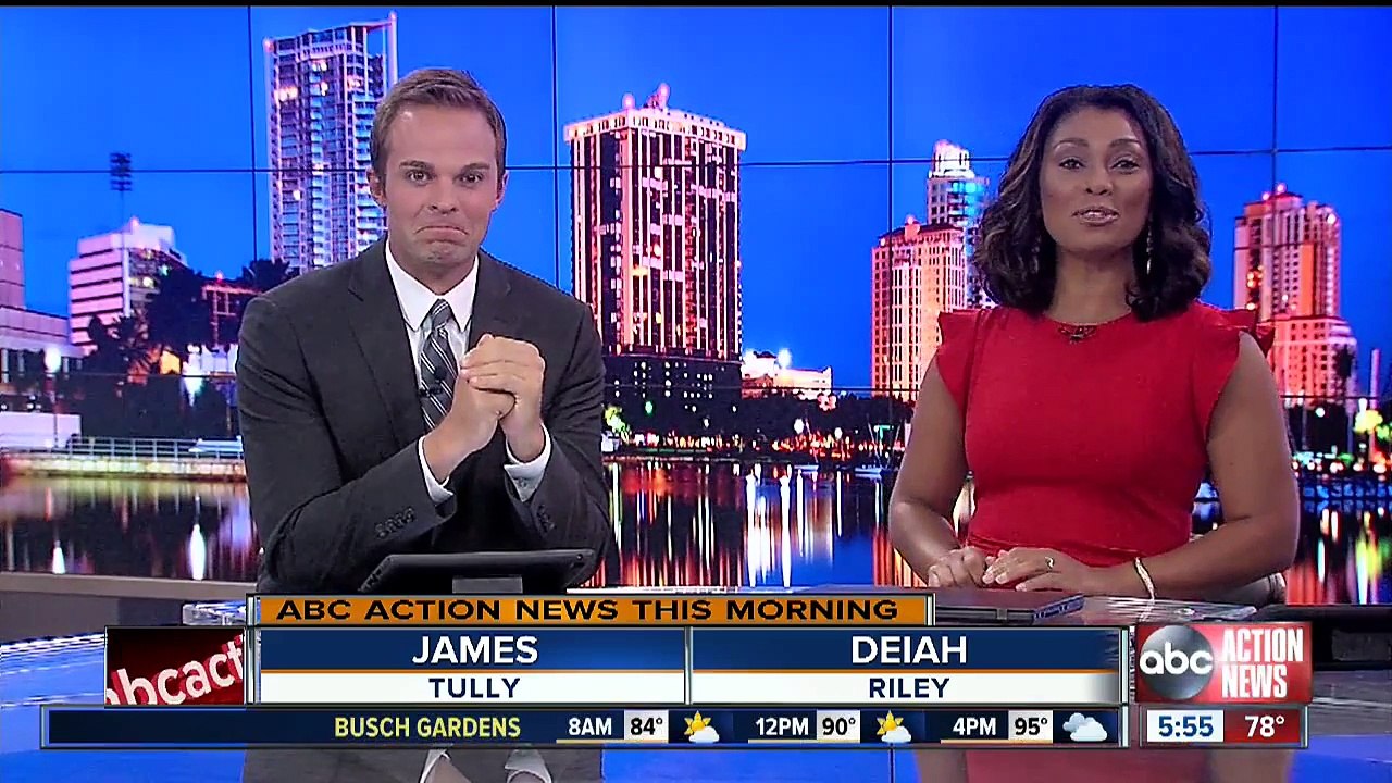 Pitbull's Florida Tourism Campaign