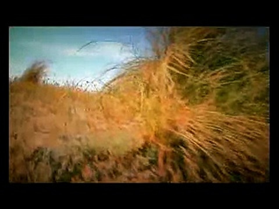 Hot Song Sex Dance -