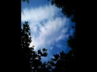 le ciel du 17 juillet au soir :chemtrails...