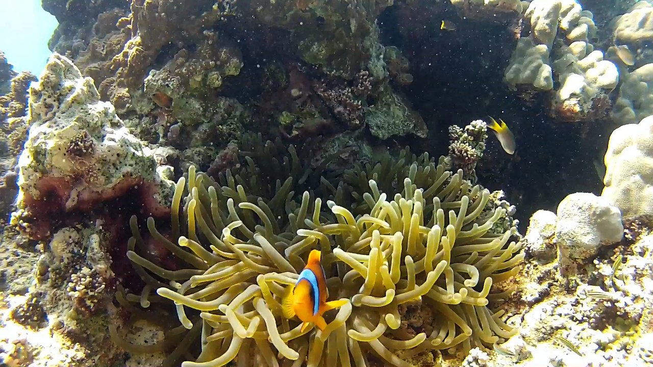 2013_05_03 Djibouti Sables blanc HD