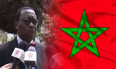 شاهد ماذا قال"اكينوومي اديزينا"رئيس البنك الإفريقي علي المملكة ومكانتها المتميزة والرائدة إفريقيا