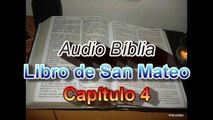 Evangelio Según San Mateo Capítulo. (4 d 28) -- Evangelio de Jesucristo
