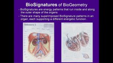Introduction to BioGeometry by Robert Gilbert, PhD - Pt 2