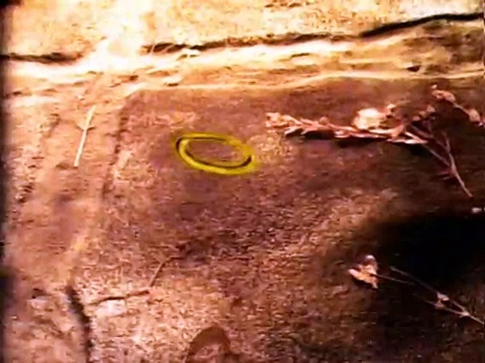 El Narrador De Cuentos Capitulos Completos