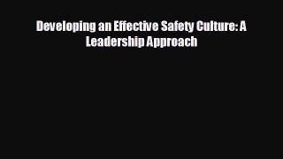 Popular book Developing an Effective Safety Culture: A Leadership Approach