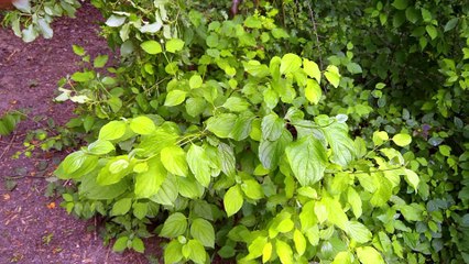 Versus #1: Schönheit des Alltags im Fokus 🌟