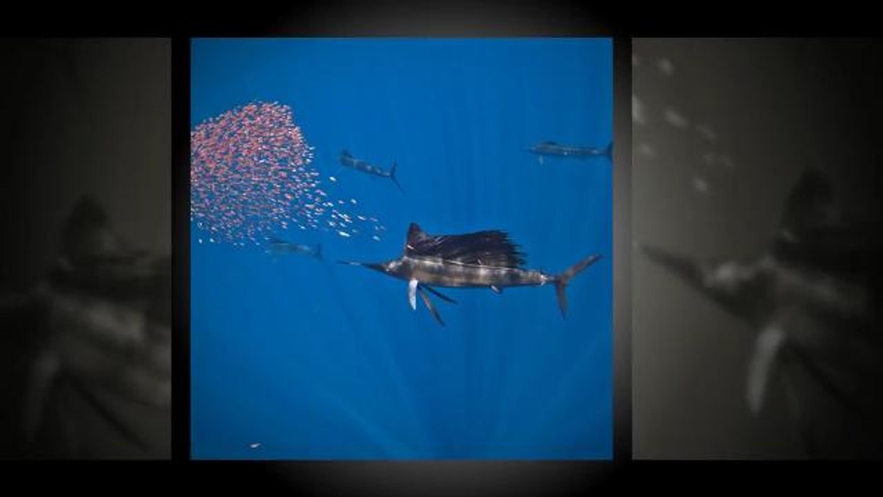 Nouveaux sites naturels inscrits au Patrimoine de l'humanité par l'Unesco