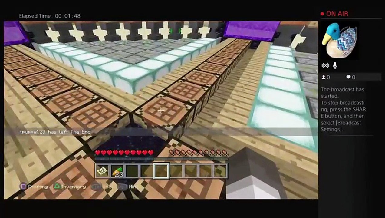MineCraft PS4 Episode 10 (14)