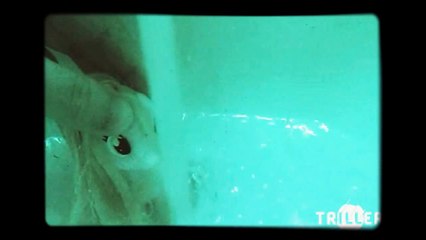 Shower - Becky G