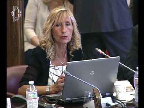 Roma - Agenzia dogane e monopoli, audizione Direttore Peleggi (20.07.16)