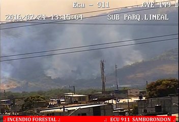 Imágenes del incendio forestal frente al panteón Metropolitano