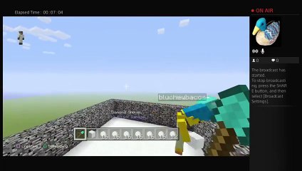 MineCraft PS4 Spleef (17)