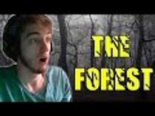 The Forest - Gameplay / Walkthrough / Playthrough - Part 1 - Survival