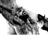 Ahmed Deedat, Dr Zakir Naik Did Jesus Die On Cross ? Who Was Jesus ? According To Bible