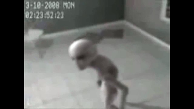 ALIEN FOOTAGE CAPTURATED BY U.S. MILITARY - 3/10/2008 / ALIEN CAPTURADO POR MILITARES AMERICANOS