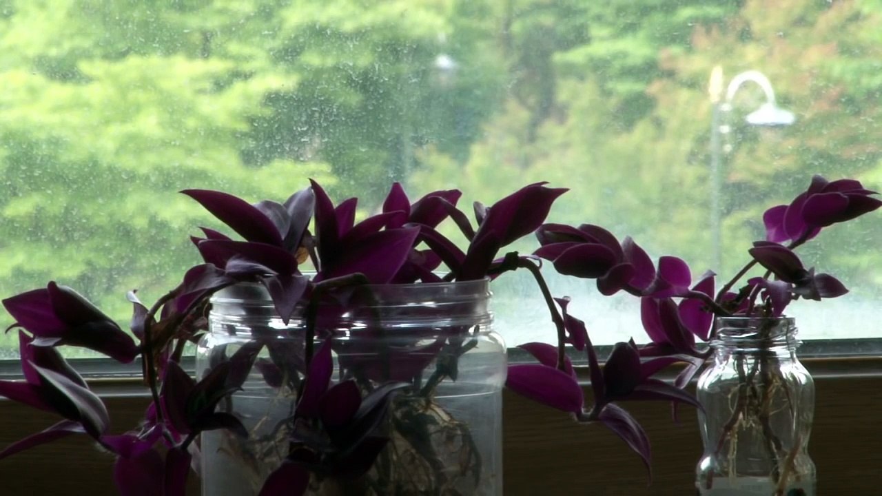 Korean Movie 나쁜 나라 (Cruel State, 2015) 예고편 (Trailer)