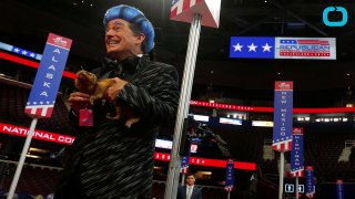 Stephen Colbert crashes RNC with clever 'Hunger Games' costume