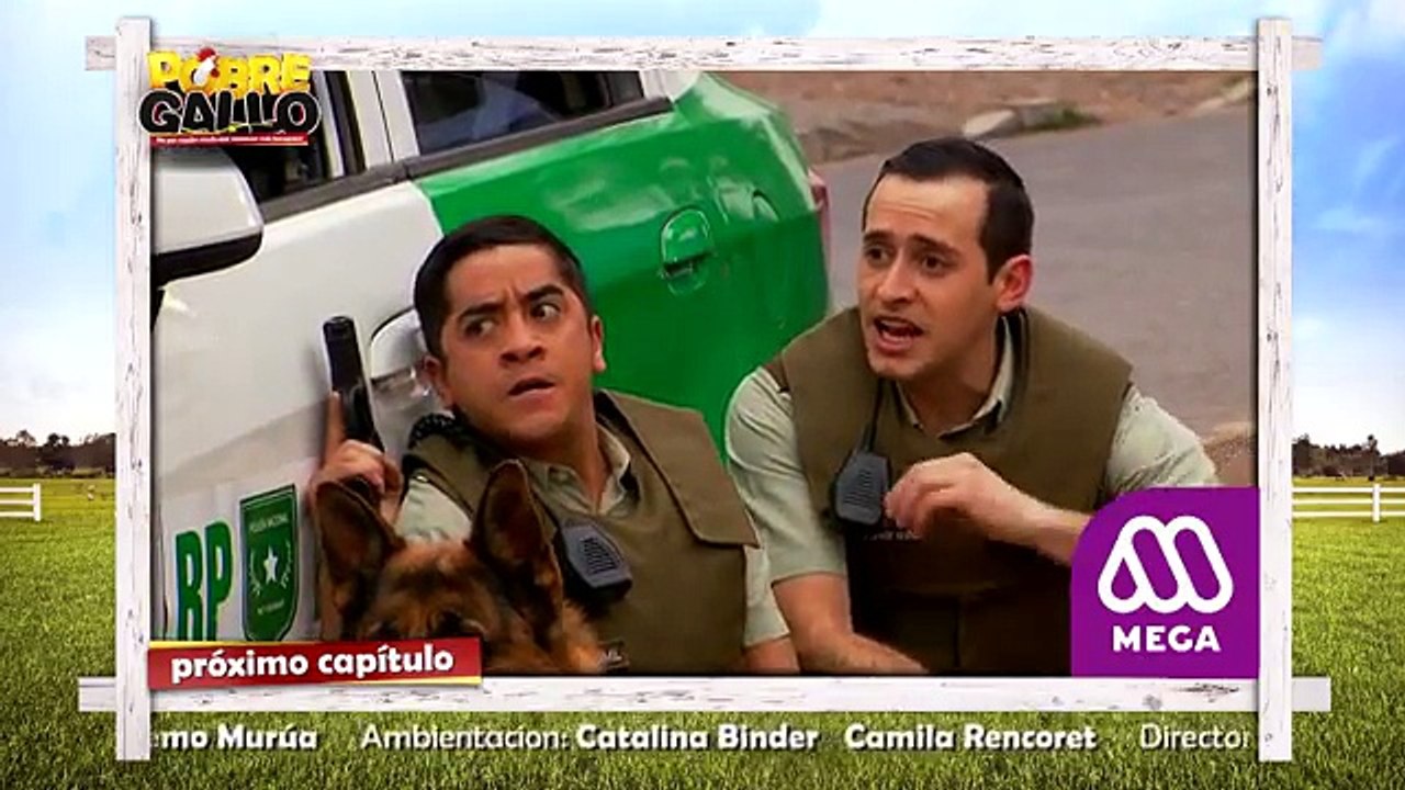 139 Avance Pobre Gallo