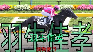 【競馬ブック】羽生佳孝ＴＭの推奨馬（ユニコーンステークス 2016年6月19日）