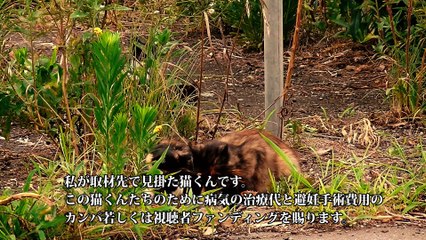 セックスの結果