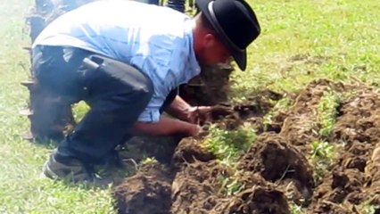 2012 07 29 Habère Poche   Motoculteur Simar 70C au labour   03