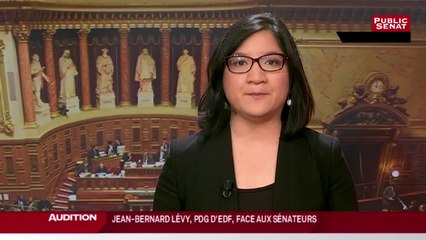 L'avenir d'EDF en questions - Les matins du Sénat (21/07/2016)