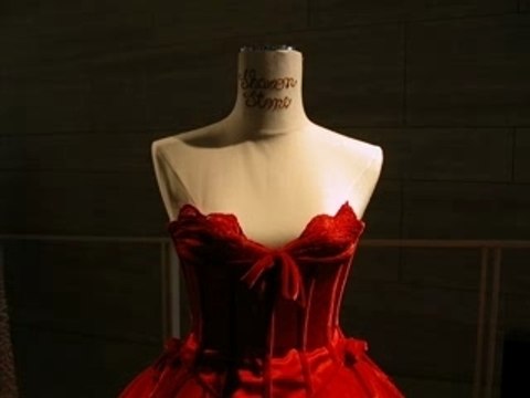 Exposition Valentino - Les stars - Ara Pacis - Rome en image