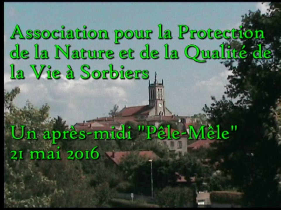 Un après-midi "Pêle-Mêle"