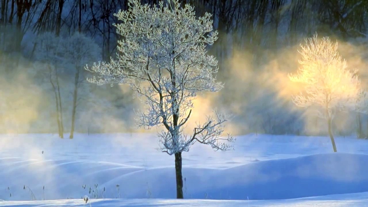 梅本哲信　遠tone音　-雪　-Photo-----HD_a4ufjE-5Yfk_youtube.com