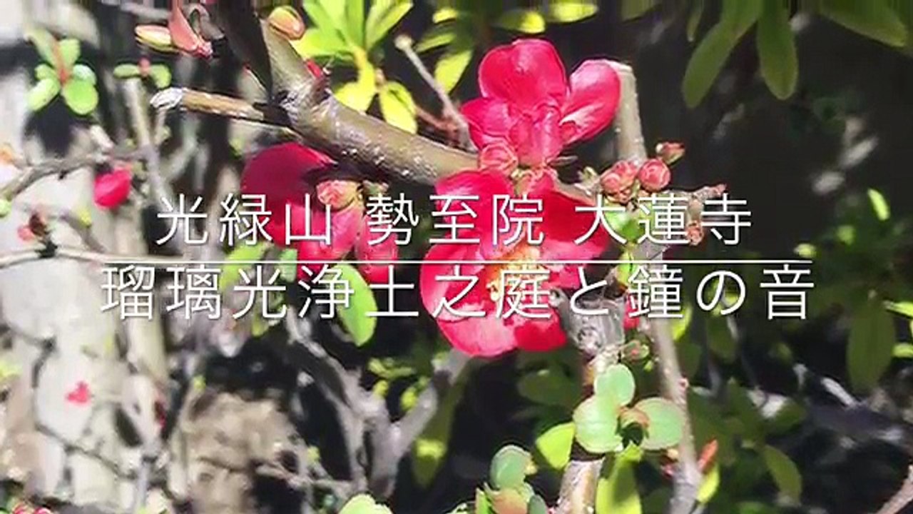 梅本哲信　癒し-瞑想-自律神経に優しい♡薬師如来・瑠璃光浄土之庭と鐘の音_UCftHxeEvOo_youtube.com