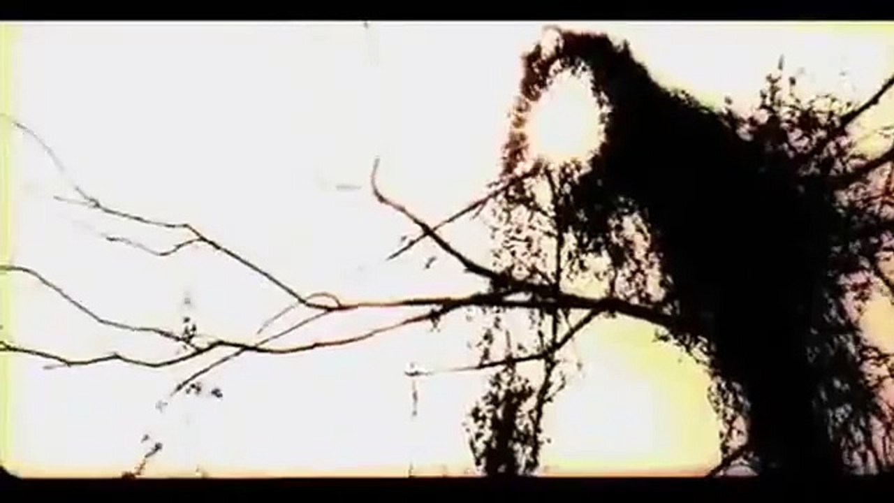 Arang Trailer