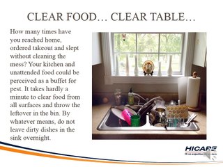 5 Simple Tips for Working People to Keep Their Homes Pest Free - Hicare