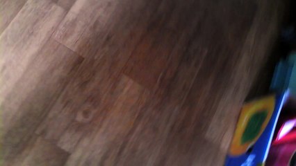 마루 바닥에 찍힌 영혼들(REAL OR FAKE YOU DECIDE)