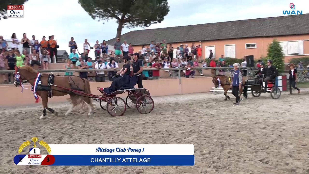 Attelage Club Poney 1