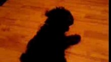 Layla loves jazzzzzz :)