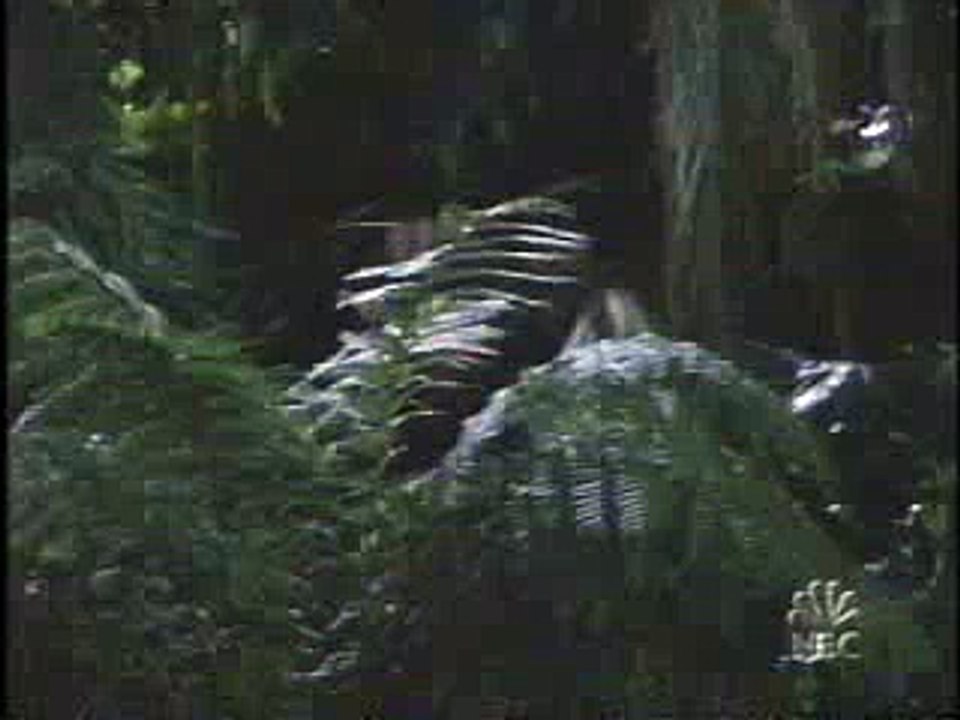 Billie and Bo 10/5/04 Part 1