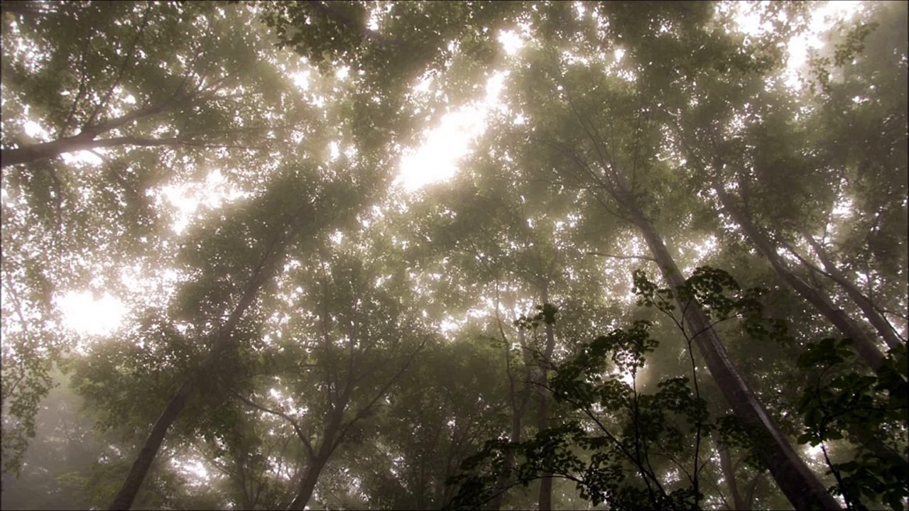 荒谷竜太Please relax.