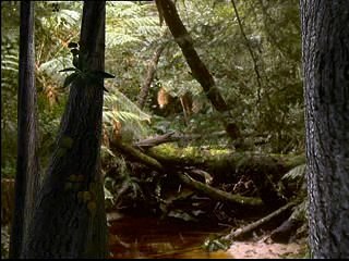 Paludisme: La piste d'un vaccin expérimental pour lutter contre le paludisme se rapproche