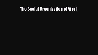 READ book The Social Organization of Work#  DOWNLOAD ONLINE