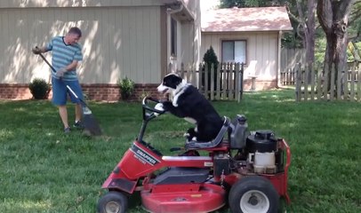 Compilation de gens vraiment allumés... dans des situations inexplicables !